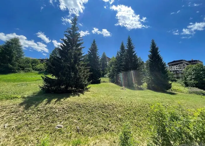 Asampasa Happynest *