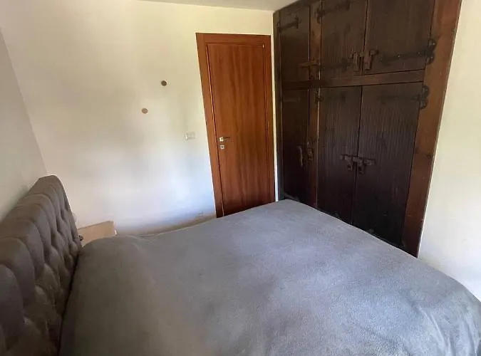 Asampasa Happynest *